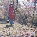 알로하오에 이미지