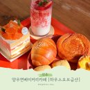 양우연케익하우스 | 경남 진주 디저트가 유명한 하우스오브금산 양우연 베이커리카페