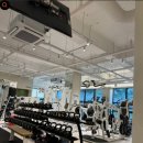 킴브로짐 헬스PT 이미지