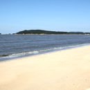 무의도바다칼국수 이미지