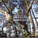 백동무궁화동산 이미지