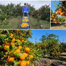 대학당 보청기 이미지