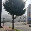 돈우대감