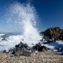 강동화암주상절리 | 울산 강동 화암 와상 주상절리의 이모저모