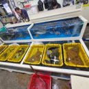 다이버회수산 이미지