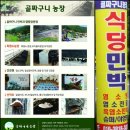 안성흑염소농장 이미지