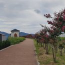 테크노남로 이미지