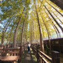 까막샘거리 간이화장실 | 청남대 관람후기