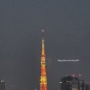 족앤찜 | [파이어족 세계여행-도쿄 2주 여행 7일차][나카메구로 맛집 ,다이칸야마 츠타야 ][생맥주 맛집-에비스...