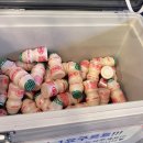 한일면옥 | 수타면의 쫄깃함, 짬뽕의 진한 국물, 사천 설화면옥에서 느낀 깊은 맛