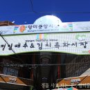 망미1-210 이미지