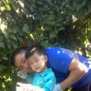 진군농장 이미지