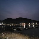 칠천도편백숲 이미지