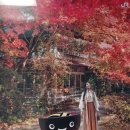 에히메현 마쓰야마6 - 이마바리에서 마쓰야마로 돌아와 밤거리! 이미지