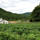 청정학곡마을 이미지