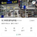 도그마캣광주상무
