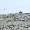 이화정농장 이미지