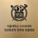 해성동물병원 | 강아지 방광 결석 수술 후기｜결석 종류·증상[분당·수원 동물병원