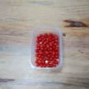 지리산산하루 이미지