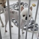 (주)한방스퀘어 이미지