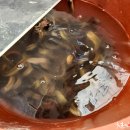 가마솥추어탕 이미지