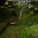 엠제트 퍼포먼스 | 이렇게 노는 것도 재능이다❤️‍🔥