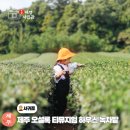 서광카 | 제주 오설록 티뮤지엄 녹차밭 이니스프리 하우스