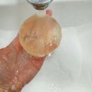 세안농장 이미지