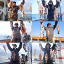 먼바다 왕열기 조황입니다. 이미지