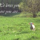 낮엔해처럼밤엔달처럼 이미지