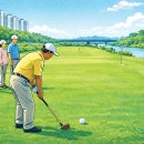 파크골프 입문 이미지