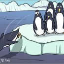 퍼스트팽귄 Daum카페