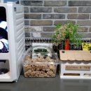 301차이나 이미지