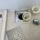 은혜가스 | 테크노밸리 청소와 비둘기 퇴치 청소후~고객감동 사연.후기 ~ 💕