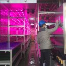 팜소프트 이미지