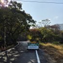 해낭 | 진도, 해낭 가볼만한 곳 대흥사, 울돌목스카이워크...관광지, 명량대첩해전사기념관 등 볼거리 놀거리 후기