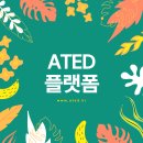 아트 에듀