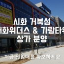 위더스관광 이미지