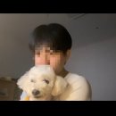 빠사삭