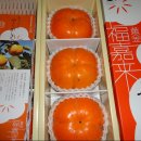 태천농장 이미지