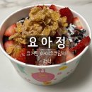 요거트아이스크림의정석신당점
