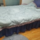 엘리에셀(ELIEZER) 이미지