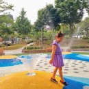 중리 어린이공원 화장실 이미지