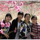 금강병원 Daum카페