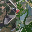 대조태양광발전소 이미지