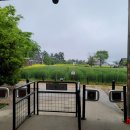 상하농장 이미지