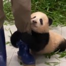 오사카서비스 이미지