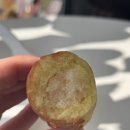 스테이 섬씽 울릉도 이미지