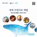 웰니스 이미지