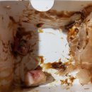 효우로60번길 1R | [광주 남구 노대동 맛집 / 타코야끼 맛집] 아이타코 푸드트럭